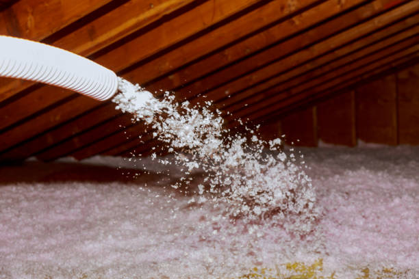 Best Blown-in Insulation in Abbeville, GA