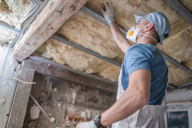 Best Insulation for Specific Applications in Abbeville, GA