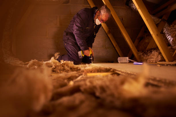 Professional Insulation Contractor in Abbeville, GA