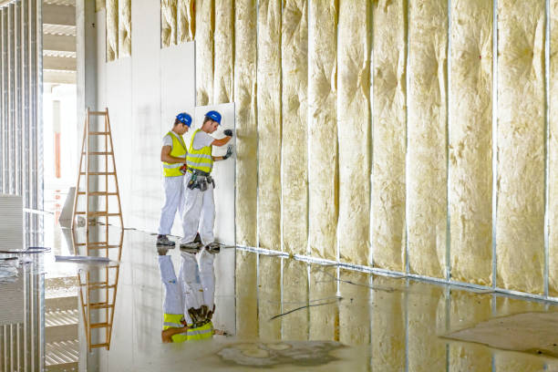 Best Cellulose Insulation in Abbeville, GA